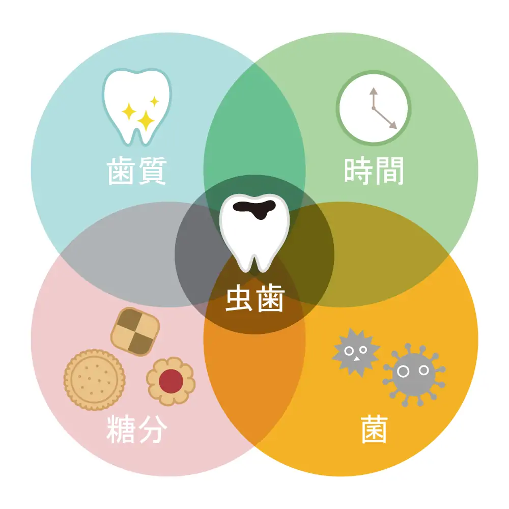 虫歯の原因
